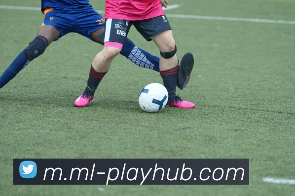 奖项证书